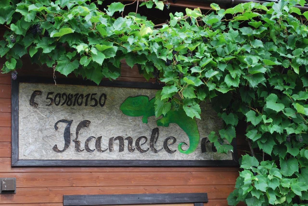 Kameleon Dzwirzyno酒店 外观 照片